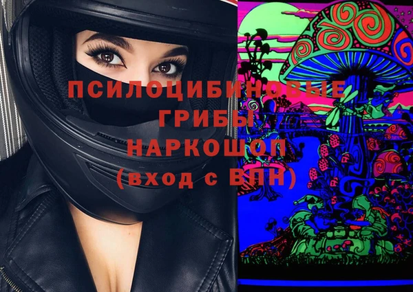 скорость Богородск
