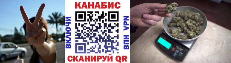 Конопля индика  Купить закладки  Шагонар 
